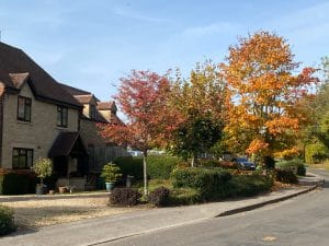 Houses in Oaksmere Appleton