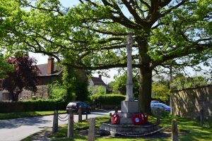 War Memorial with poppies in Appleton