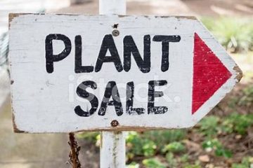 Plant sale image
