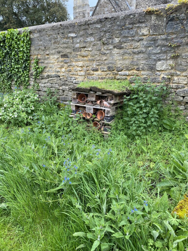 Churchyard bee project